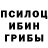 Псилоцибиновые грибы прущие грибы Nickolay G.