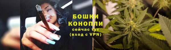 ALPHA-PVP Вяземский