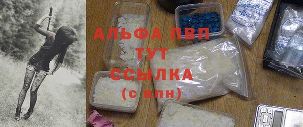 стафф Новокубанск