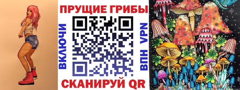 Псилоцибиновые грибы мицелий  где можно купить   Бакал 